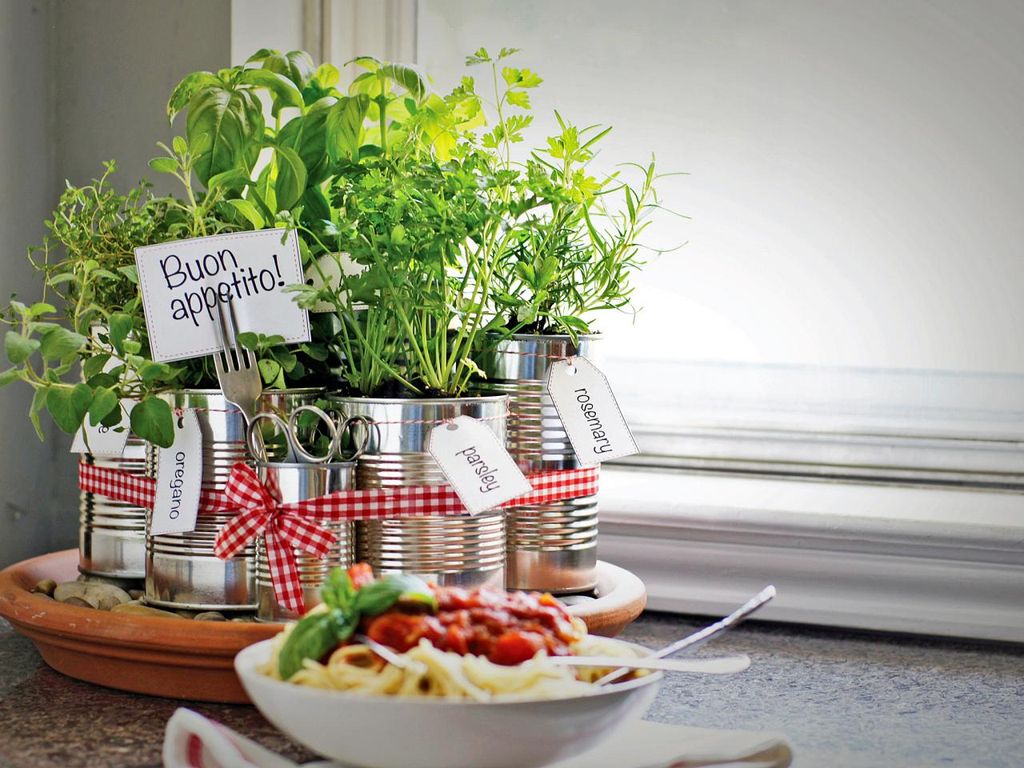 Types of Indoor Herb Garden You Need to Know About