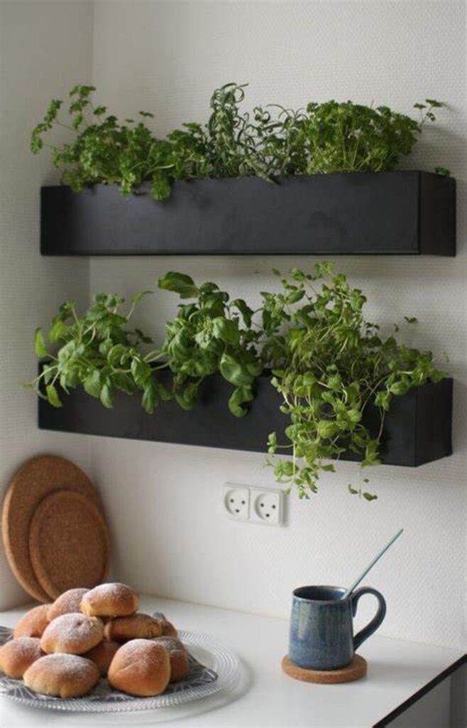 Types of Indoor Herb Garden You Need to Know About
