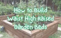 How to Build Waist High Raised Garden Beds