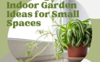 Stunning Indoor Garden Ideas for Small Spaces